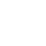 Nitgen Access Control System